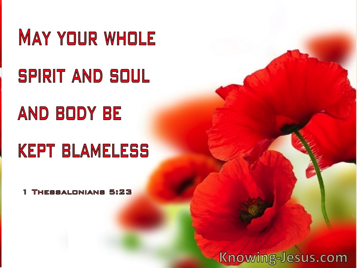 1 Thessalonians 5:23 May Your Whole Spirit, Soul And Body Be Kept Blameless (windows)03:02